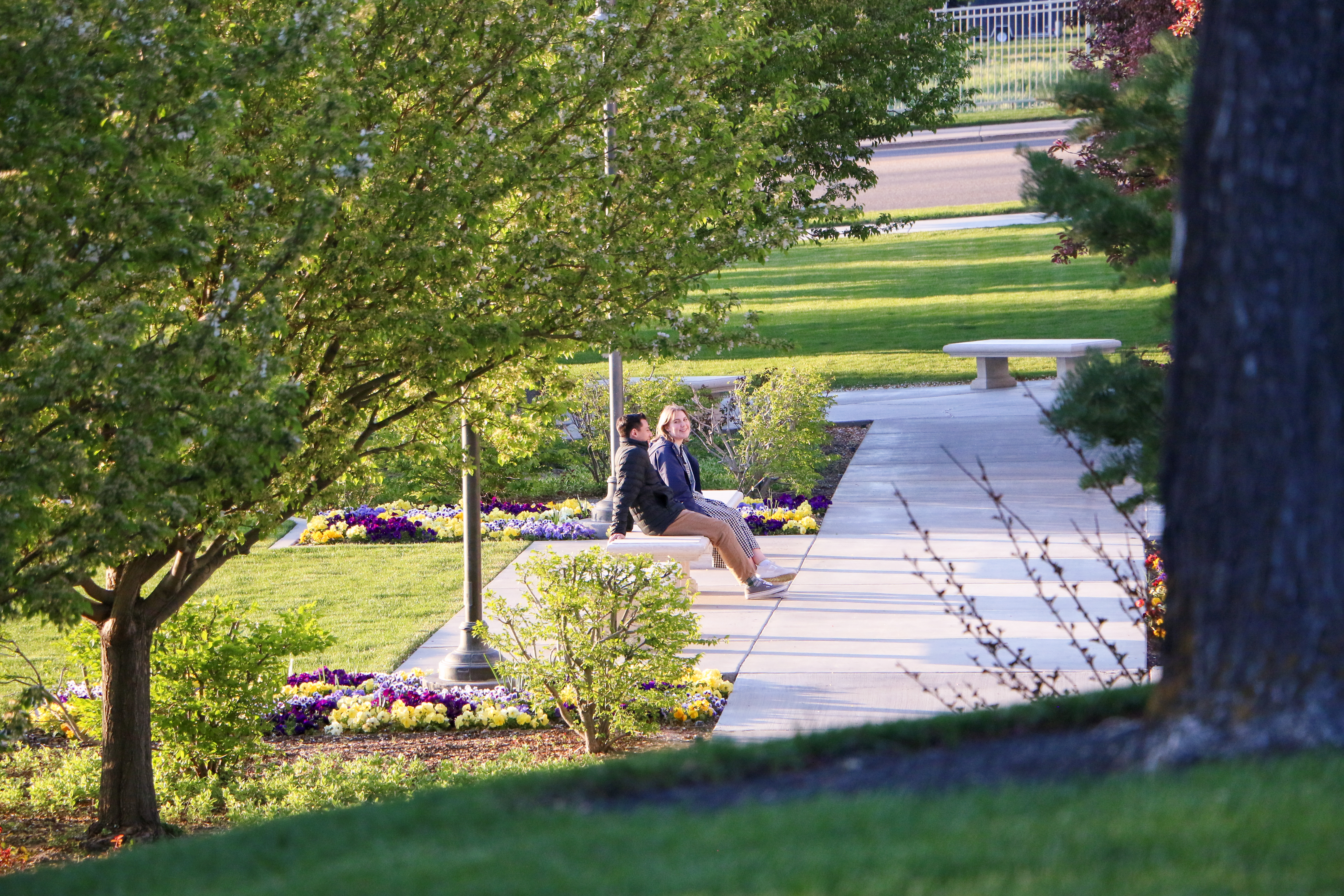 grassy_3